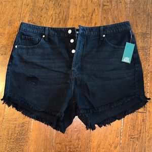 NWT Wild Fable Highest Rise Shorts